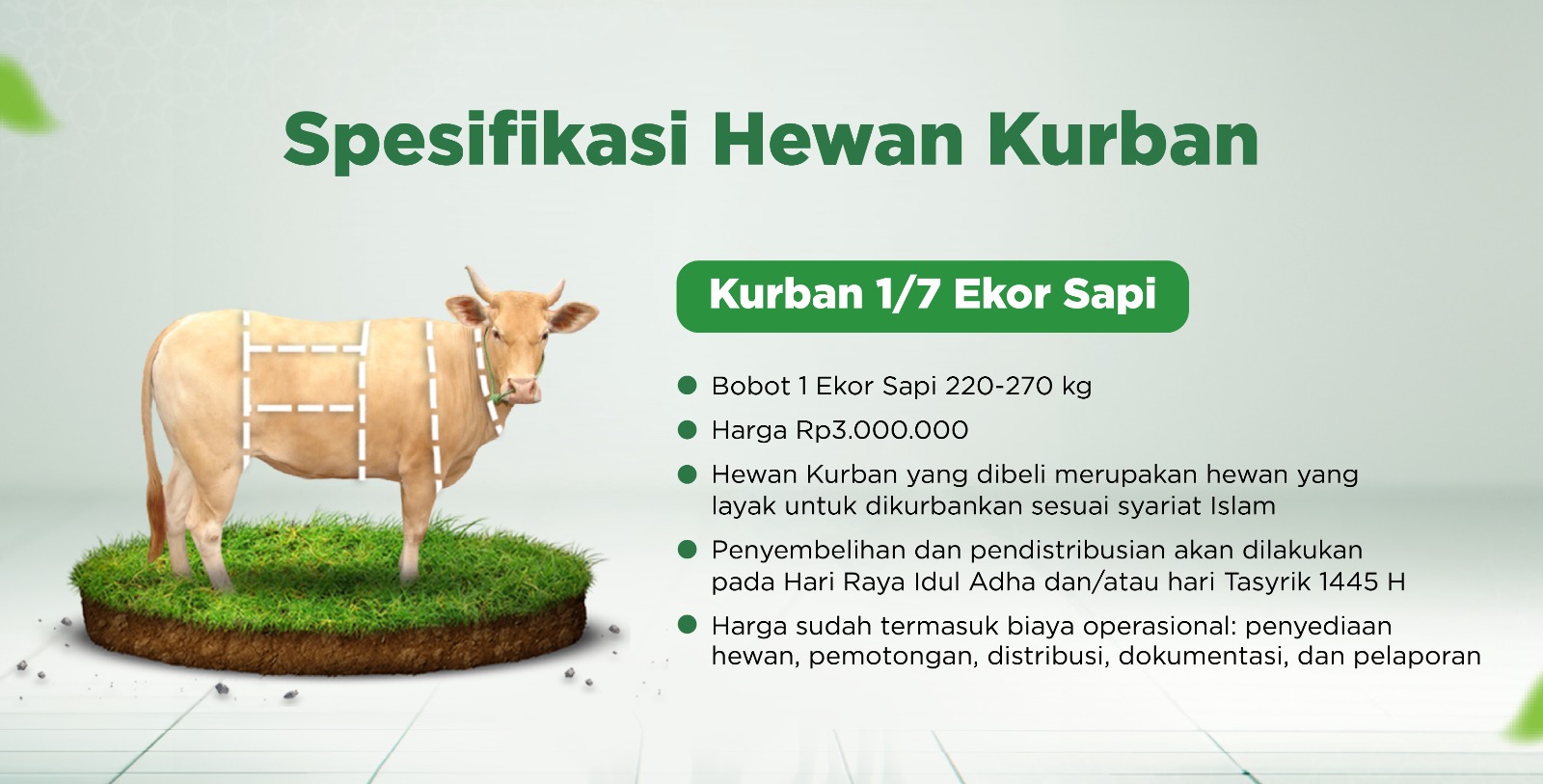 Kurban Sapi 1 7 BAZNAS